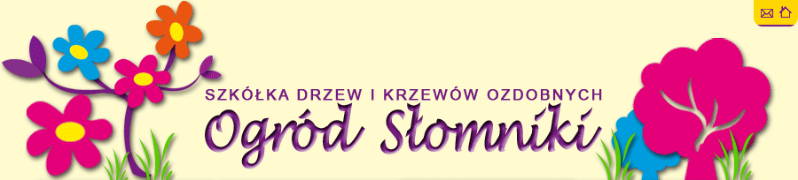 Szkółka drzew i krzewów Kraków - Słomniki